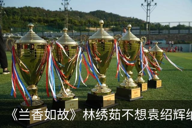《兰香如故》林绣茹不想袁绍辉纳妾，请兰香帮忙争家产，才明白，大太太临终时为何将掌家权交给兰香