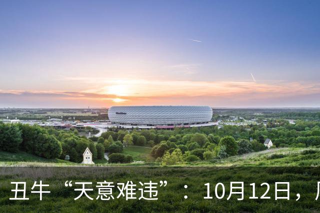 丑牛“天意难违”：10月12日，周一，有事即将要发生了